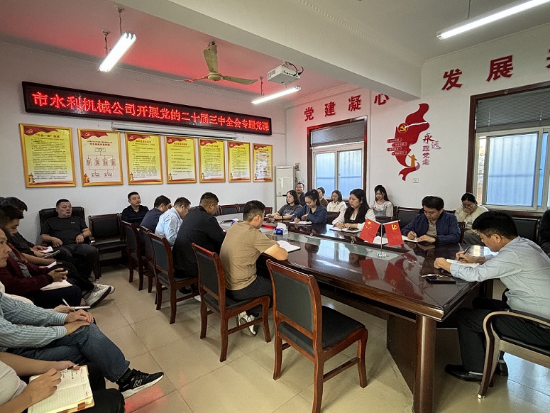 組織開(kāi)展黨的二十屆三中全會(huì)專題黨課